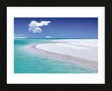 Tropical Simplicity (Framed) -  Dennis Frates - McGaw Graphics