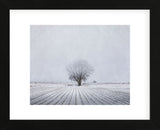 Foggy Winter Morning (Framed) -  Trent Foltz - McGaw Graphics