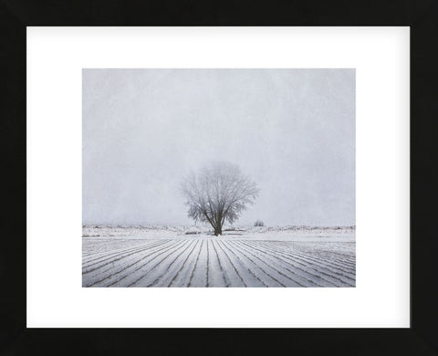 Foggy Winter Morning (Framed) -  Trent Foltz - McGaw Graphics