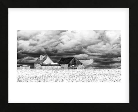 Five White Barns (Framed) -  Trent Foltz - McGaw Graphics