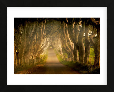 Enchanted Road (Framed) -  Dennis Frates - McGaw Graphics