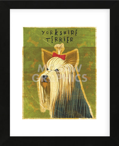 Yorkshire Terrier  (Framed) -  John W. Golden - McGaw Graphics