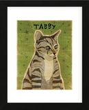 Tabby (grey)  (Framed) -  John W. Golden - McGaw Graphics