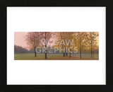 Autumn Dawn, Maples (Framed) -  Elissa Gore - McGaw Graphics