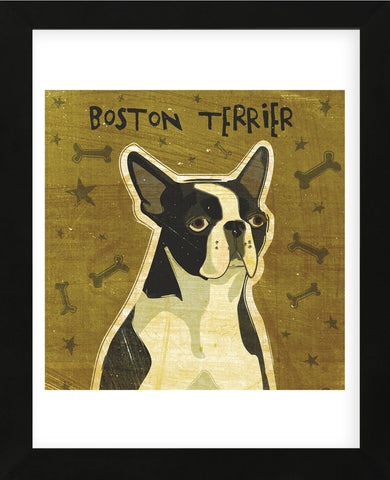 Boston Terrier (square)  (Framed) -  John W. Golden - McGaw Graphics