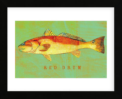 Red Drum  (Framed) -  John W. Golden - McGaw Graphics