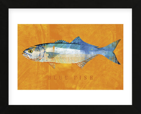 Bluefish  (Framed) -  John W. Golden - McGaw Graphics