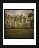A Line of Pines (Framed) -  John W. Golden - McGaw Graphics