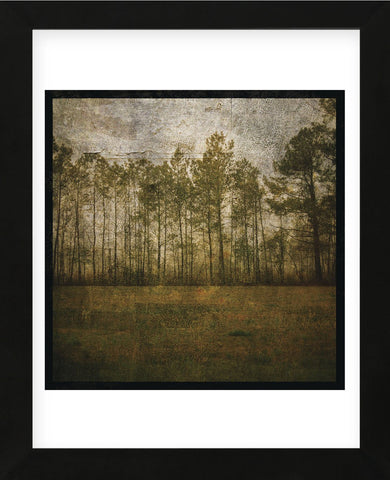 A Line of Pines (Framed) -  John W. Golden - McGaw Graphics