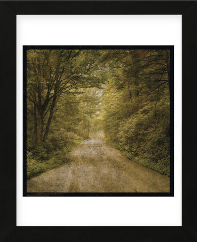 Flannery Fork Road No. 1 (Framed) -  John W. Golden - McGaw Graphics