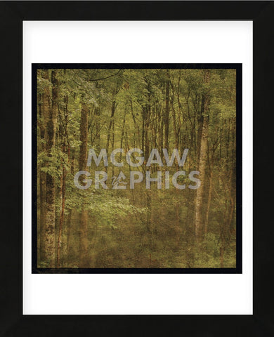 Fog in Mountain Trees (Framed) -  John W. Golden - McGaw Graphics
