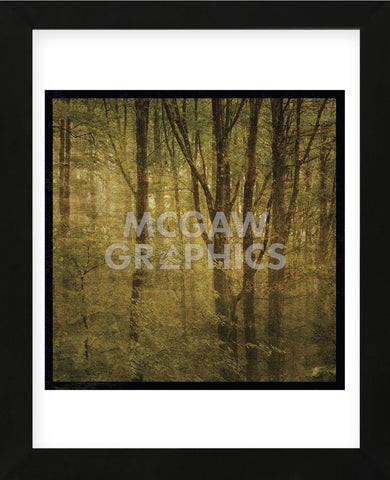 Fog in Mountain Trees No. 2 (Framed) -  John W. Golden - McGaw Graphics