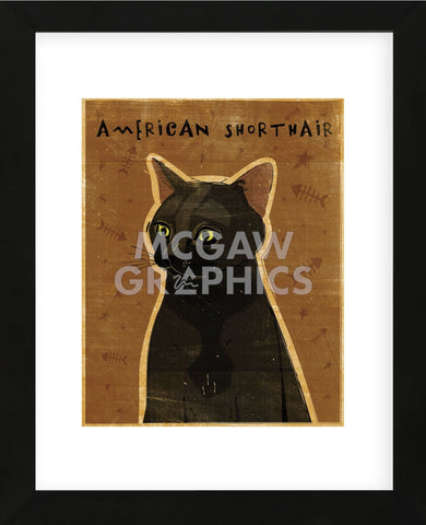 American Shorthair (Framed) -  John W. Golden - McGaw Graphics