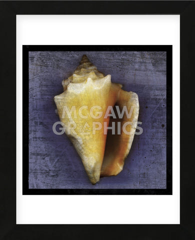 Fighting Conch (Framed) -  John W. Golden - McGaw Graphics