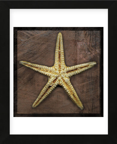 Starfish (Framed) -  John W. Golden - McGaw Graphics