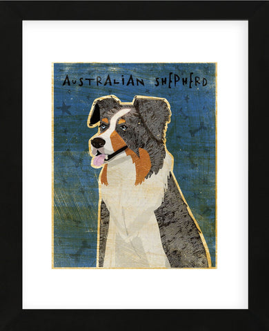 Australian Shepherd (Blue Merle) (Framed) -  John W. Golden - McGaw Graphics