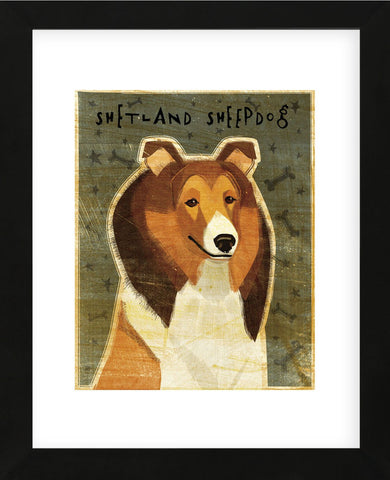 Shetland Sheepdog (Framed) -  John W. Golden - McGaw Graphics