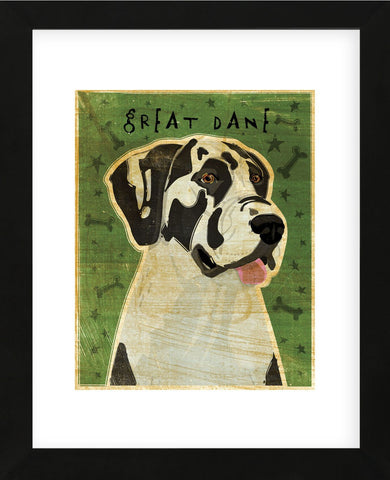 Great Dane (Harlequin, no crop) (Framed) -  John W. Golden - McGaw Graphics