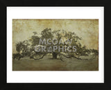 Sugarmill Oak, Louisiana (Framed) -  William Guion - McGaw Graphics