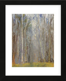 Birch Woods (Framed) -  Elissa Gore - McGaw Graphics