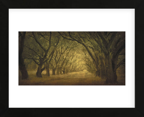 Evergreen, New Alley, Right Side (Framed) -  William Guion - McGaw Graphics