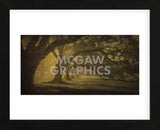 Oak Alley Morning Shadows (Framed) -  William Guion - McGaw Graphics