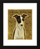 Italian Greyhound (Black & White) (Framed) -  John W. Golden - McGaw Graphics