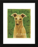 Italian Greyhound (Fawn) (Framed) -  John W. Golden - McGaw Graphics