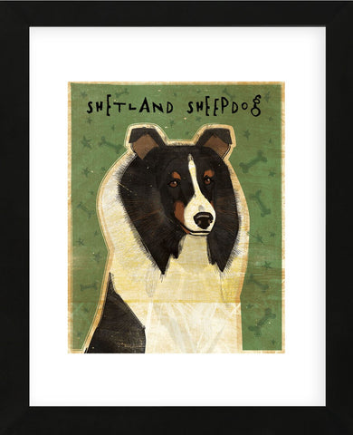 Shetland Sheepdog (Tri-Color) (Framed) -  John W. Golden - McGaw Graphics