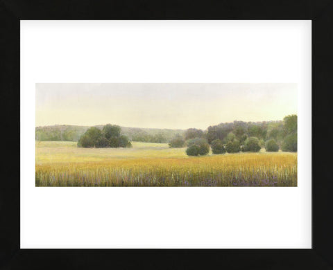 High Woods Field (Framed) -  Elissa Gore - McGaw Graphics