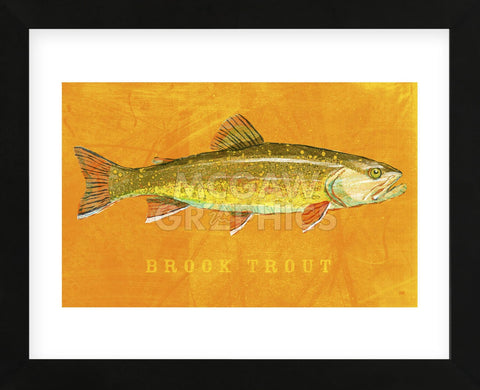 Brook Trout (Framed) -  John W. Golden - McGaw Graphics