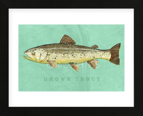 Brown Trout (Framed) -  John W. Golden - McGaw Graphics