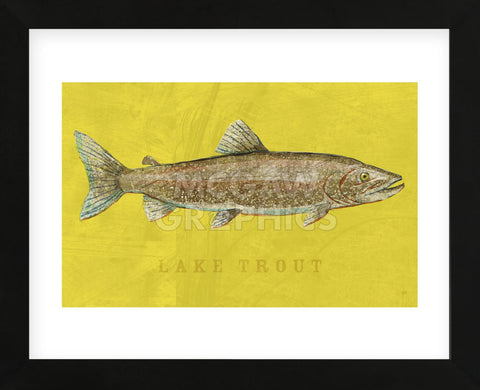 Lake Trout (Framed) -  John W. Golden - McGaw Graphics
