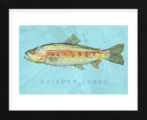 Rainbow Trout (Framed) -  John W. Golden - McGaw Graphics