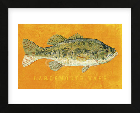 Largemouth Bass (Framed) -  John W. Golden - McGaw Graphics