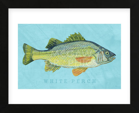 White Perch (Framed) -  John W. Golden - McGaw Graphics