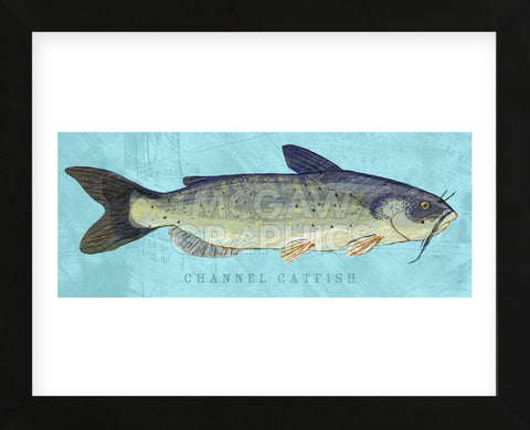 Channel Catfish (Framed) -  John W. Golden - McGaw Graphics