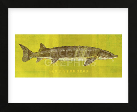 Lake Sturgeon (Framed) -  John W. Golden - McGaw Graphics