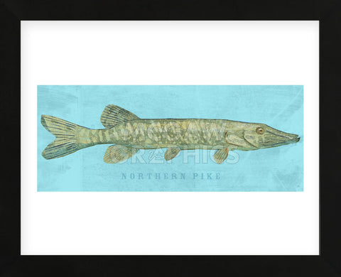 Northern Pike (Framed) -  John W. Golden - McGaw Graphics