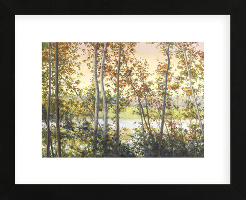 Autumn Shady (Framed) -  Elissa Gore - McGaw Graphics