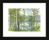 Summer Lake IV (Framed) -  Elissa Gore - McGaw Graphics