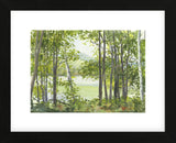 Summer Lake V (Framed) -  Elissa Gore - McGaw Graphics