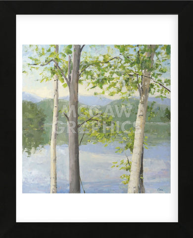 Cooper Lake II (Framed) -  Elissa Gore - McGaw Graphics