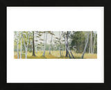 Birch Field (Framed) -  Elissa Gore - McGaw Graphics