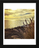 Oceanscape PCH (Framed) -  Gizara - McGaw Graphics