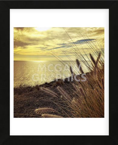 Oceanscape PCH (Framed) -  Gizara - McGaw Graphics