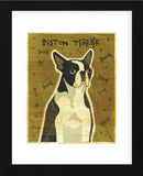 Boston Terrier  (Framed) -  John W. Golden - McGaw Graphics