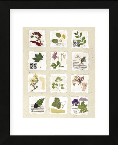 Kent Garden Fragments  (Framed) -  Annabel Hewitt - McGaw Graphics