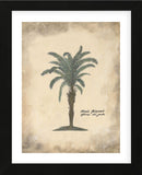 African Oil Palm (Framed) -  Annabel Hewitt - McGaw Graphics