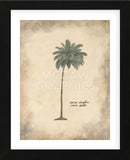 Cocoa Palm  (Framed) -  Annabel Hewitt - McGaw Graphics